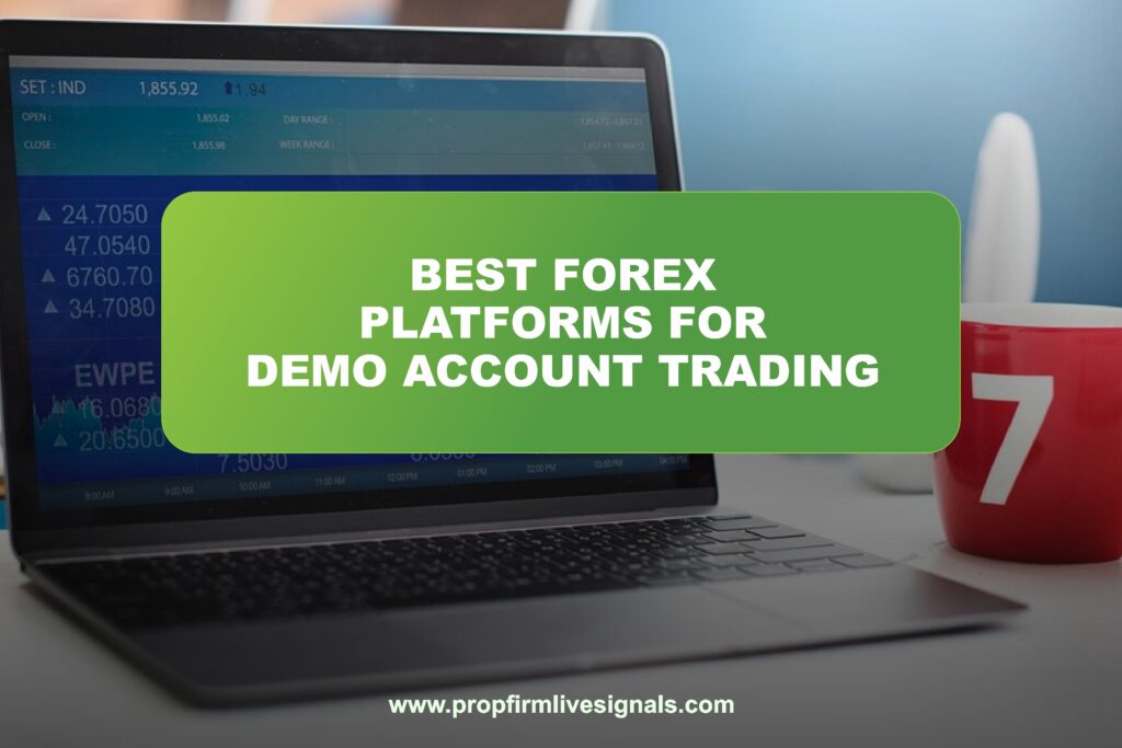 Best Forex platforms for demo account trading
