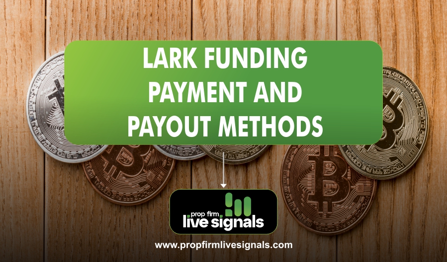 Lark Funding Payment and Payout Methods
